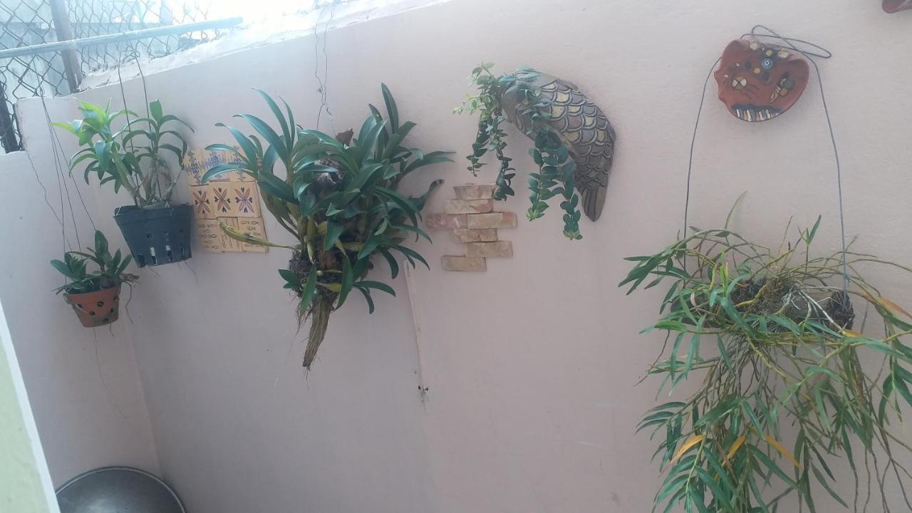 Kota'S House Homestay Хюэ Номер фото