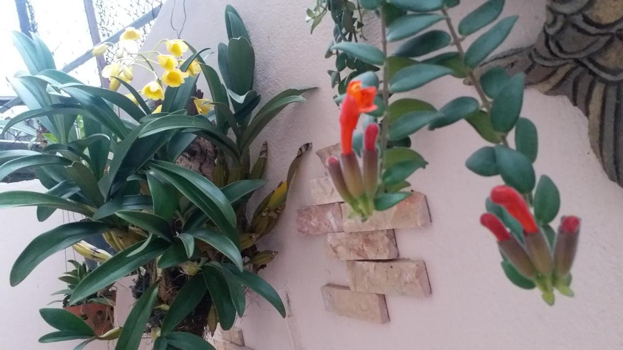 Kota'S House Homestay Хюэ Номер фото